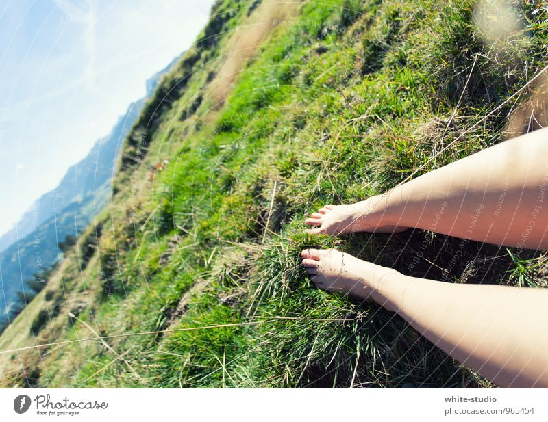 Chillen Mensch feminin Junge Frau Jugendliche Erwachsene Beine 1 18-30 Jahre Natur Landschaft Wolkenloser Himmel Sommer Gras Sträucher Wiese Hügel Alpen