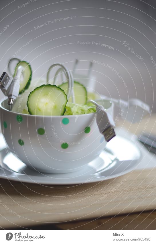 Kabelsalat Salat Salatbeilage Schalen & Schüsseln Technik & Technologie Fortschritt Zukunft Telekommunikation Internet lustig Netzwerk Schnittstelle Draht Gurke