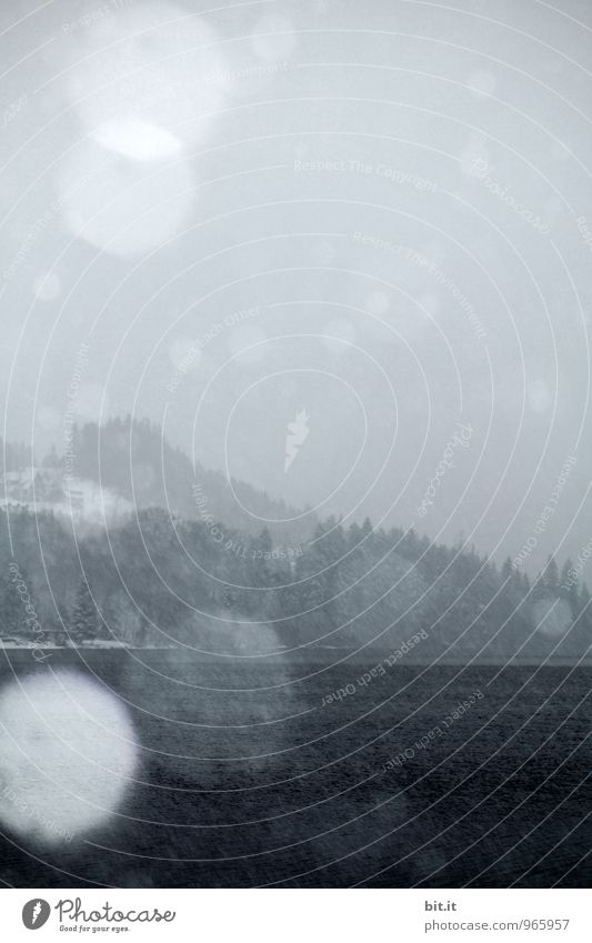 Schnee überm See Ferien & Urlaub & Reisen Tourismus Ausflug Abenteuer Winterurlaub Berge u. Gebirge Feste & Feiern Umwelt Himmel Klima Unwetter Nebel Eis Frost