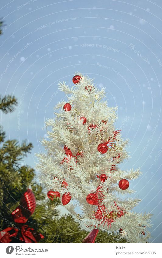 weisse Weihnacht Feste & Feiern Weihnachten & Advent Dekoration & Verzierung Kitsch Krimskrams Vorfreude Weihnachtsbaum Weihnachtsdekoration Weihnachtsmarkt