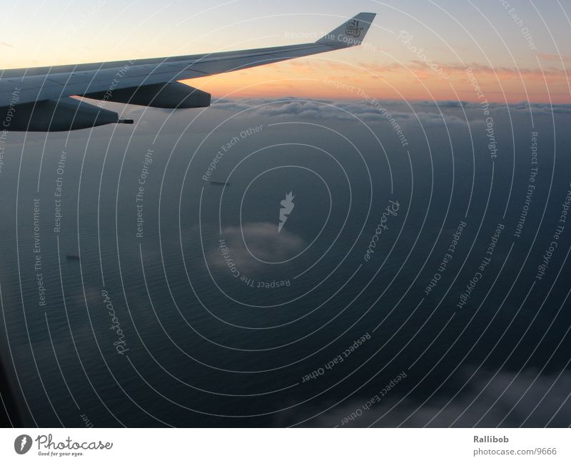 Dubai Dawn Flugzeug Wolken Sonnenaufgang Arabien Schriftzeichen Luftverkehr Flügel Emirates