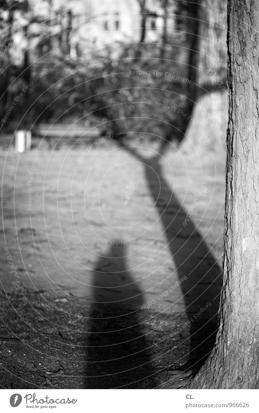 ich schon wieder Freizeit & Hobby Mensch Erwachsene 1 Umwelt Natur Schönes Wetter Baum Garten Wiese Selbstportrait Baumstamm Schattenspiel Fotografieren