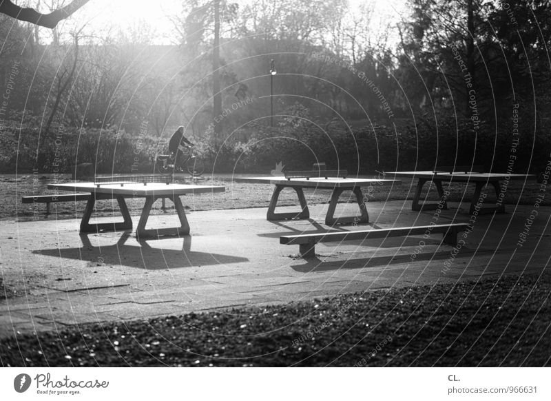 ping pong park Sport Fahrradfahren Tischtennisplatte Sportstätten Mensch 1 Umwelt Natur Landschaft Sonnenlicht Herbst Wetter Schönes Wetter Baum Sträucher Park