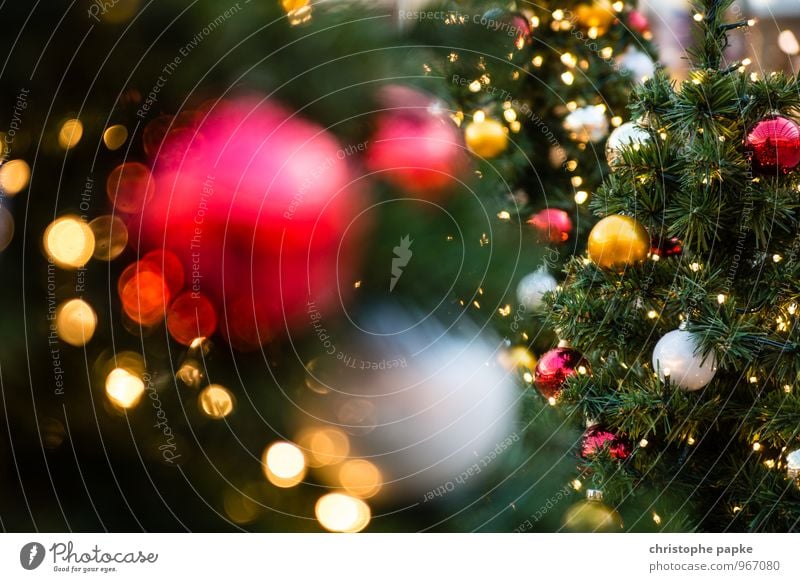 Season's Greeting III Feste & Feiern Weihnachten & Advent Baum Dekoration & Verzierung Kitsch Krimskrams leuchten Weihnachtsdekoration Weihnachtsbaum