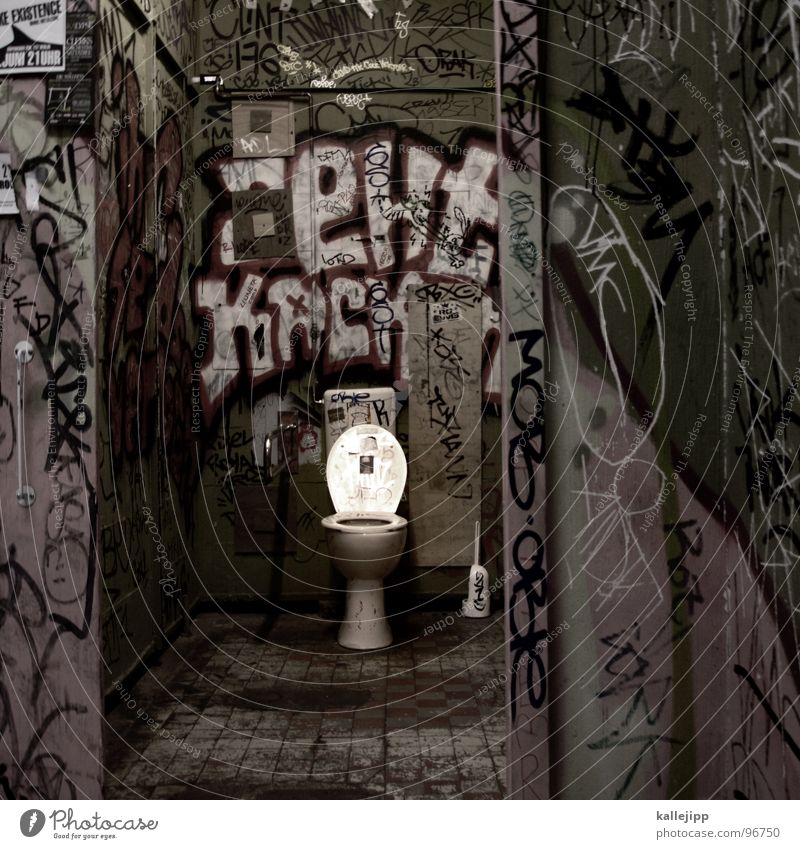 locus amoenus Toilette steril WCsitz Brille Haufen groß klein dünn urinieren Schock Wachsamkeit Graffiti Toilettenpapier Erinnerung Logo Identität zurückziehen