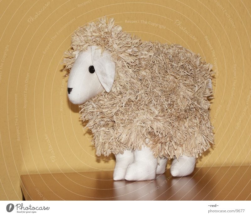 Schaf Tier - ein lizenzfreies Stock Foto von Photocase