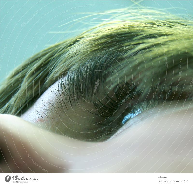 memyself Mann grün Augenbraue Quadrat Dresden Riesa außergewöhnlich Nasenloch Detailaufnahme elsone Mensch Haare & Frisuren photocase Gesicht blau Haut Blick