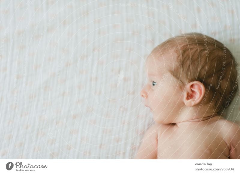 baby Mensch Kind Baby 1 0-12 Monate klein nackt Verantwortung Zukunft Geburt säugling newborn schwanger Farbfoto Innenaufnahme Textfreiraum links