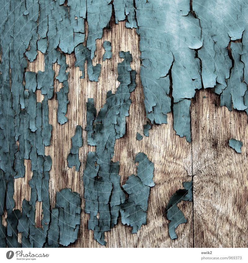 Zeitzeuge Holz dehydrieren alt trashig Zahn der Zeit verfallen Teile u. Stücke Farbstoff türkis grau-blau Maserung abblättern Textfreiraum Farbschicht lockern