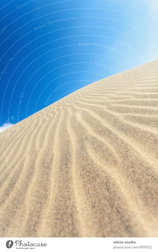 Sandmeer Sonne Freude Sandstrand Sandverwehung Sandkorn Sandbank Düne Stranddüne Wellen Wellengang Wellenform Wind Windung Himmel (Jenseits) Sommerurlaub