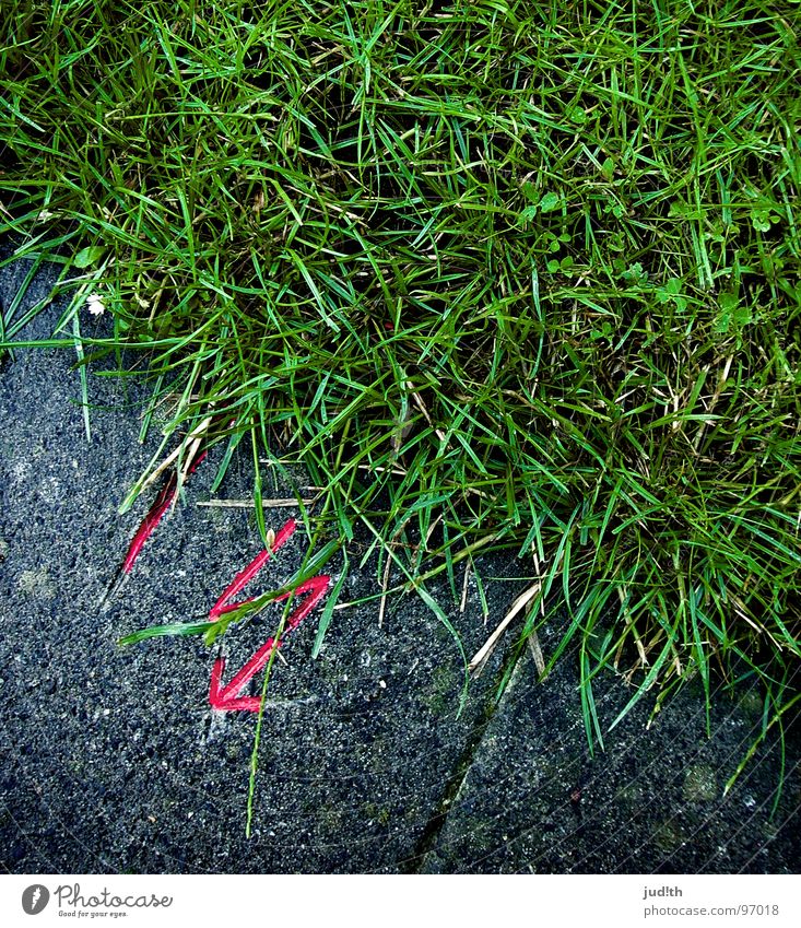 Gewitter mit Regen nass rosa grün grau Wiese Beton gefährlich Elektrizität Warnhinweis Warnschild Wasser Wetter Stein Rasen Garten bedrohlich Respekt Kontrast