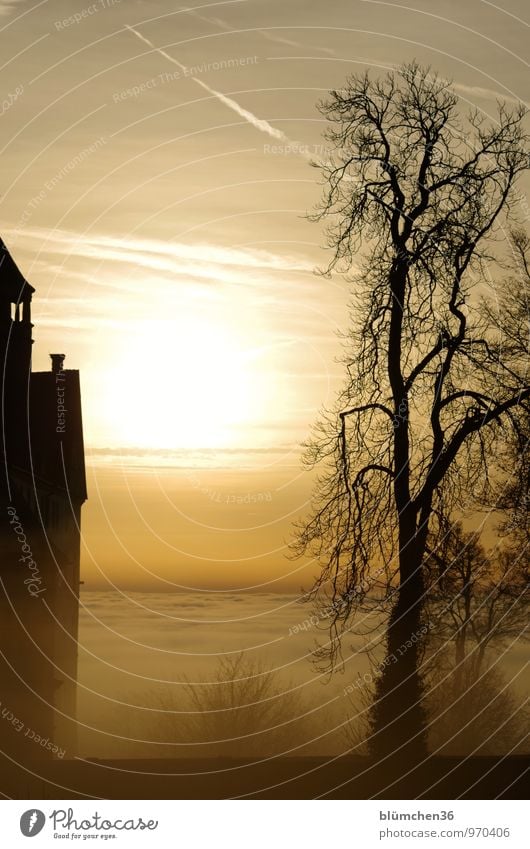 retro | als es noch Märchen und Sagen gab... Natur Sonnenaufgang Sonnenuntergang Nebel Baum Burg oder Schloss Mauer Wand alt mystisch Märchenschloss Wolken