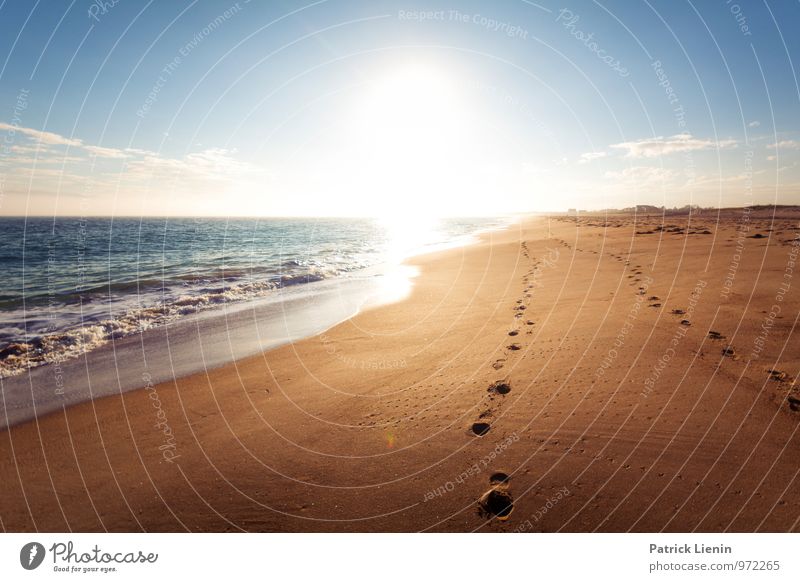 November Sun Wellness Leben harmonisch Wohlgefühl Zufriedenheit Sinnesorgane Erholung ruhig Meditation Sonne Sonnenbad Strand Meer Insel Wellen Umwelt Natur