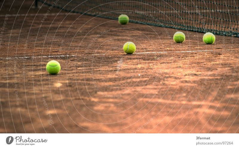 tennis Tennisplatz grün Platz Sportplatz Aktion Sportverein Spielfeld Grünfläche Pokal Tennisball Strukturen & Formen Tennisnetz Spielen Sportveranstaltung