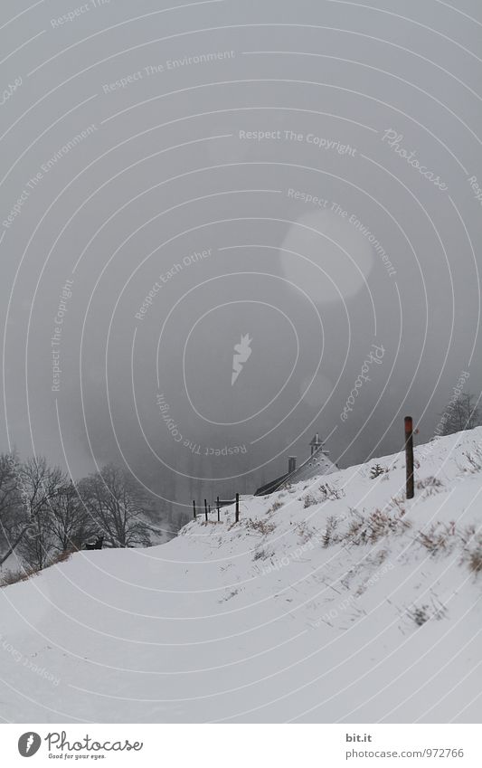 Stockwerk | Haus und Stock Natur Winter Klima schlechtes Wetter Nebel Eis Frost Schnee Schneefall Berge u. Gebirge Endzeitstimmung Winterstimmung Farbfoto