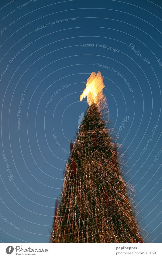 weihnachtsbaum Feste & Feiern Weihnachten & Advent androgyn Körper Kunstwerk Baum Sehenswürdigkeit Zeichen Ornament Engel Kugel leuchten blau gold