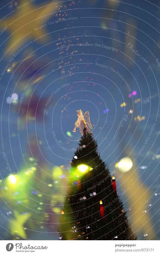 Weihnachtsbaum Feste & Feiern Weihnachten & Advent Baum Sehenswürdigkeit Zeichen Ornament Engel Kugel blau gelb gold Gefühle Kerze Unschärfe