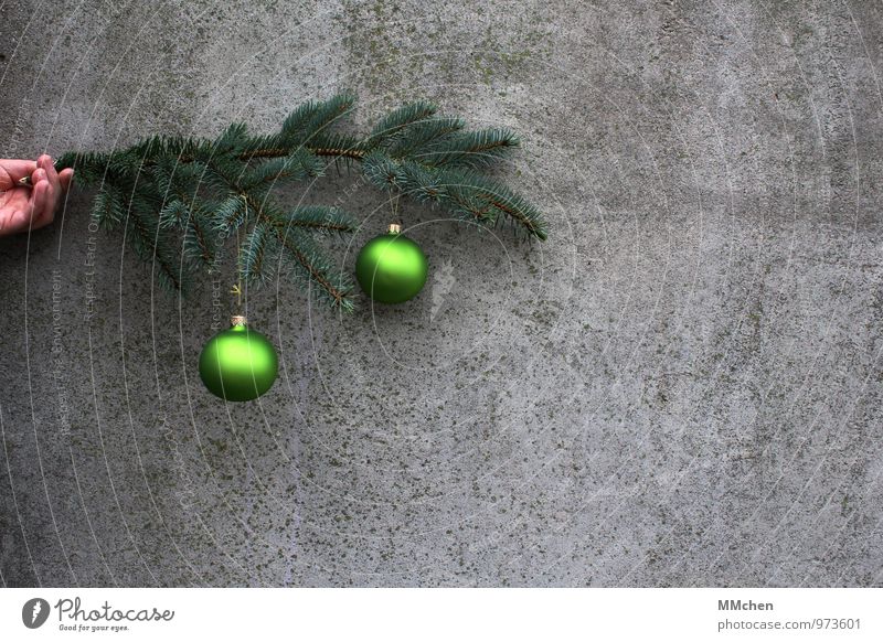 o \ o Dekoration & Verzierung Feste & Feiern Weihnachten & Advent Hand Ast Zweig Mauer Wand Beton festhalten grau grün Vorfreude Liebe ruhig Frieden