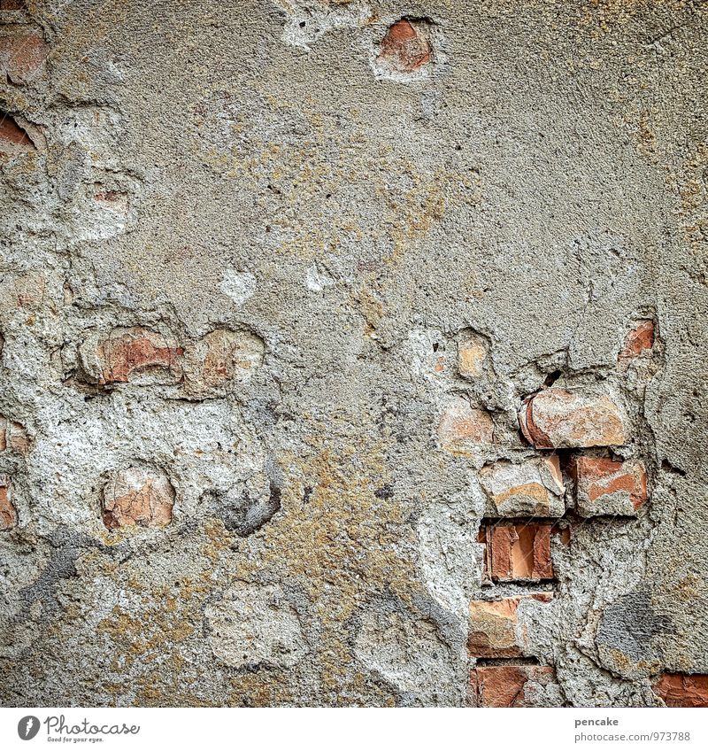 feuchtigkeit | risiken und nebenwirkungen Mauer Wand alt authentisch einzigartig kaputt grau rot Verfall Vergänglichkeit Backstein Putz zerbröckelt Steinmauer