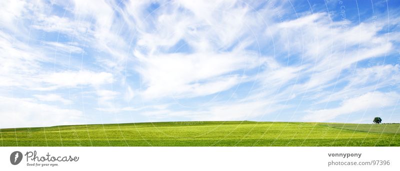 Biofrühstück II Wolken Wiese Unendlichkeit Baum grün weiß Einsamkeit Ferne Horizont Sommer Frühling Himmel blau Bioprodukte Natur bad rappenau Landschaft Wind