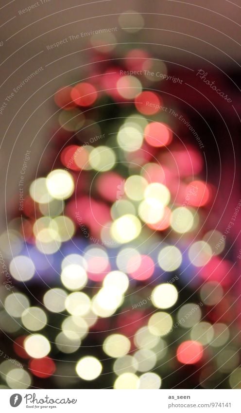 XMAS*** Lifestyle Reichtum elegant Stil Design Feste & Feiern Weihnachten & Advent Winter Schnee Baum Weihnachtsbaum glänzend leuchten ästhetisch groß trendy