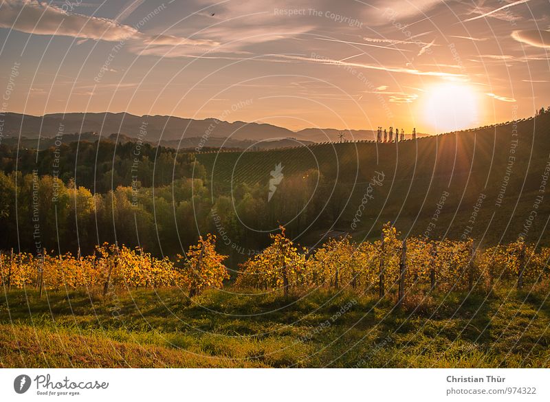 Sonnenuntergang im Herbst harmonisch Wohlgefühl Zufriedenheit Sinnesorgane Erholung ruhig Meditation Freizeit & Hobby Ferien & Urlaub & Reisen Tourismus Ausflug