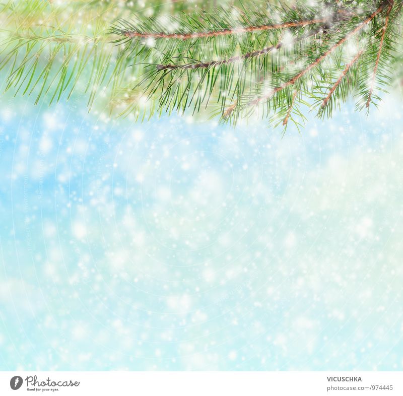 Winter Hintergrund mit Tanenbaum und Schnee Stil Design Weihnachten & Advent Natur Himmel Eis Frost Hagel Hintergrundbild Tanne Schneefall Zweig Außenaufnahme
