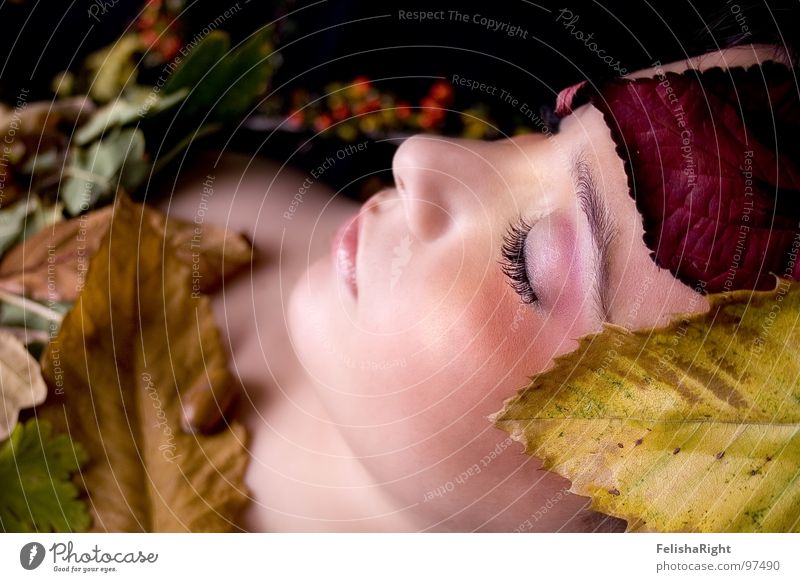 Autumn-Girl Herbst Blatt Romantik Schminke Beautyfotografie Model Frau ruhig sanft