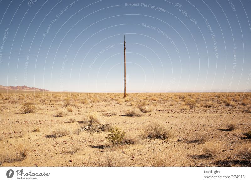 the lonesome crowded west Umwelt Natur Landschaft Pflanze Sand Wüste Death Valley National Park heiß hell Wärme Strommast karg Glatze abweisend Klimawandel USA