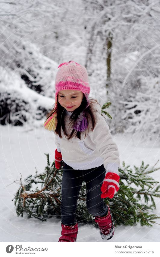 Schönes Mädchen Spazierengehen mit Baumwahl Freude Abenteuer Winter Schnee Winterurlaub Feste & Feiern Weihnachten & Advent Mensch Kind Körper Kopf 1 3-8 Jahre