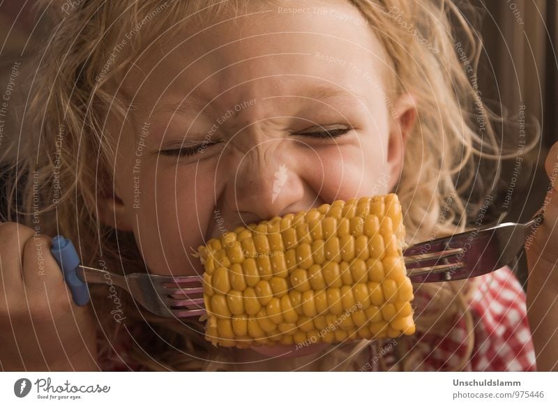 Maiszeit Lebensmittel Gemüse Maiskolben Ernährung Essen Bioprodukte Vegetarische Ernährung Gabel Lifestyle Kindererziehung Kindergarten Mensch Mädchen Kopf