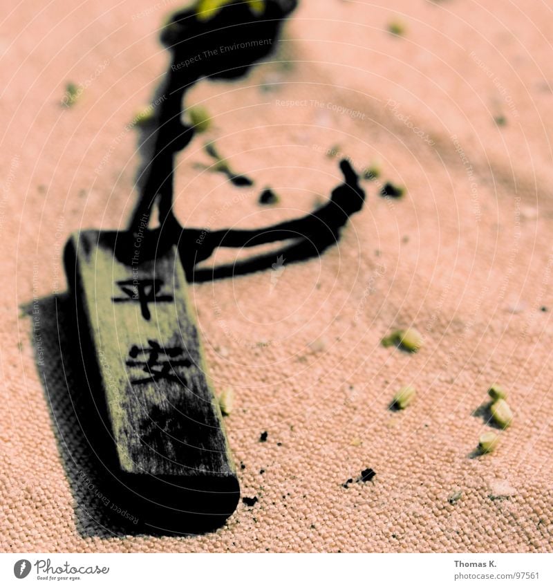 Chinesische Weisheit. China Armband Halsband Redewendung Kalligraphie Holz schnitzen Leder Schmuck Staub Schriftzeichen Asien Schnur Seil Tuch gravur Zeichen