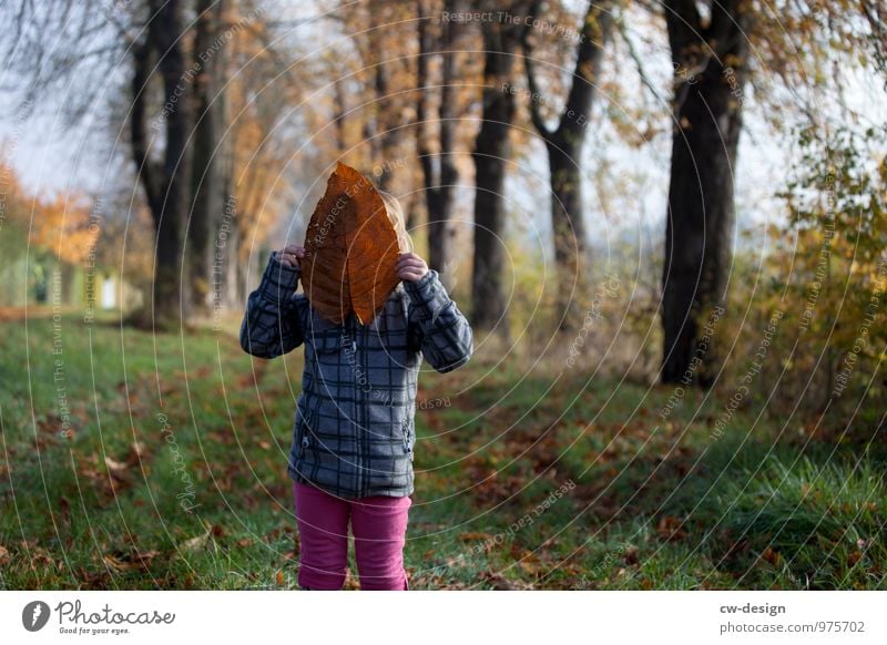 Kleines Mädchen Kuscheltier Natur Waldweg Kindheit Bäume Spaziergang Außenaufnahme Erholung