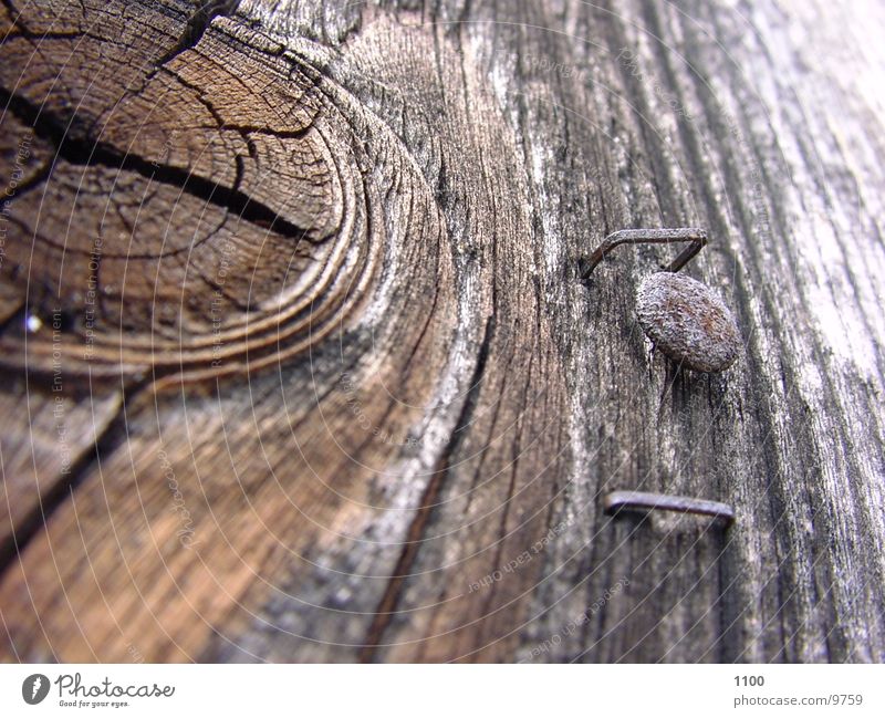 Holz Nagel morsch Fototechnik Makroaufnahme Maserung alt Reiszwecke verfallen