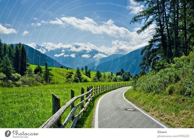 Abfahrt Umwelt Natur Landschaft Himmel Wolken Sommer Schönes Wetter Baum Sträucher Wiese Alpen Berge u. Gebirge Verkehrswege Straße nachhaltig natürlich blau