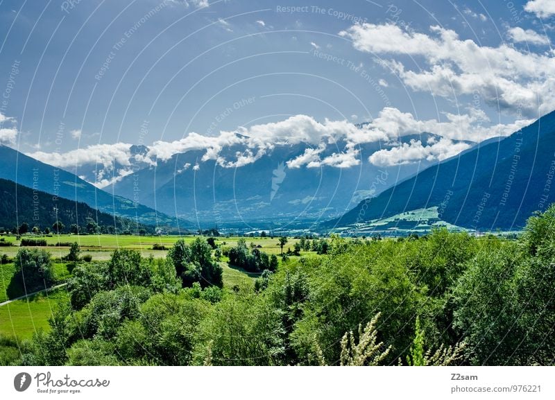 Vinachgau Umwelt Natur Landschaft Himmel Wolken Sommer Schönes Wetter Baum Sträucher Wiese Alpen Berge u. Gebirge Ferne nachhaltig natürlich blau grün ruhig Tal