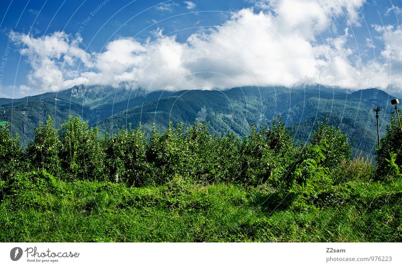 Schön wars Umwelt Natur Landschaft Himmel Wolken Sommer Schönes Wetter Sträucher Alpen Berge u. Gebirge Gipfel nachhaltig natürlich blau grün Farbe Idylle Apfel