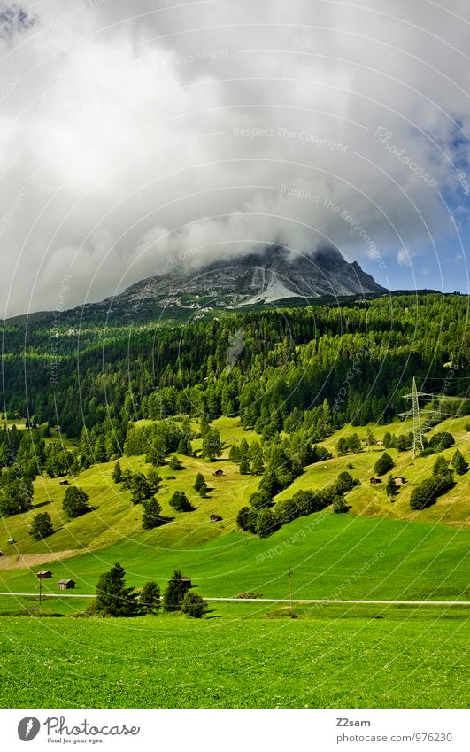 Raucher Umwelt Natur Landschaft Wolken Gewitterwolken Sommer Klima Klimawandel schlechtes Wetter Baum Sträucher Wald Urwald Hügel Felsen Alpen Berge u. Gebirge