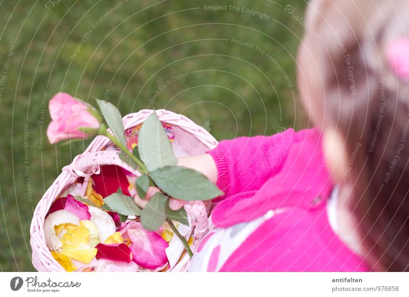 Blumenmädchen I Hochzeit feminin Kind Mädchen Geschwister Familie & Verwandtschaft Kindheit Körper Kopf Haare & Frisuren Arme Hand 1 Mensch 3-8 Jahre Rose