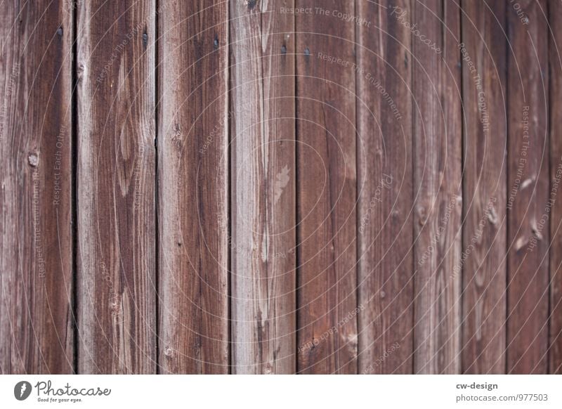 Alle Latten am Zaun Mauer Wand Fassade Holz alt nachhaltig natürlich retro trist Stadt braun grau Idee Kreativität Symmetrie Holzleiste Holzlager Holzbrett