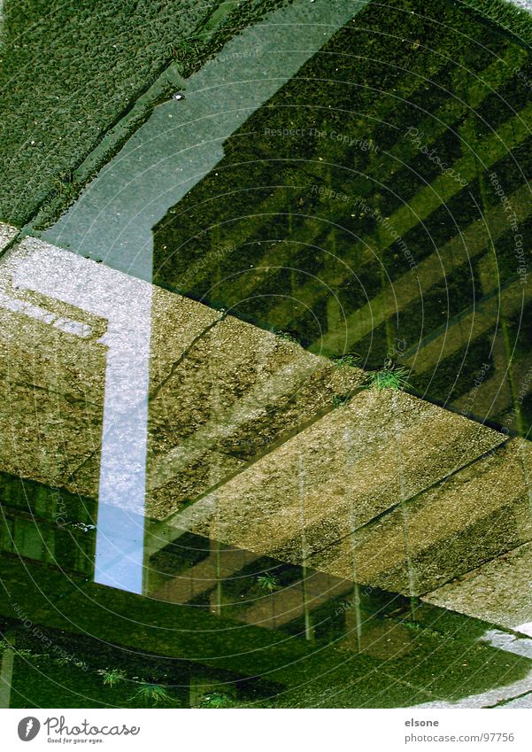 eingestreift Haus Demontage nass kalt Herbst Reflexion & Spiegelung Streifen weiß Fußgänger Bordsteinkante Fenster grün Einsamkeit Zone Dresden Hotel Prag Beton