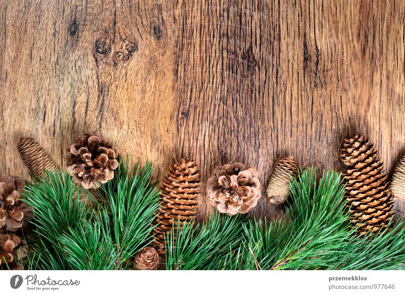 Weihnachtsdekoration Winter Dekoration & Verzierung Holz Ornament authentisch natürlich grün Tradition Textfreiraum Dezember horizontal Kiefer rustikal