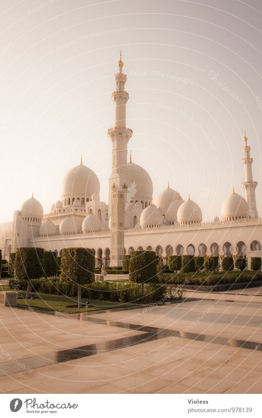 Abu Dhabi III Hauptstadt Bauwerk Gebäude Architektur Sehenswürdigkeit Wahrzeichen Denkmal außergewöhnlich Bekanntheit fantastisch Scheich-Zayid-Moschee Islam
