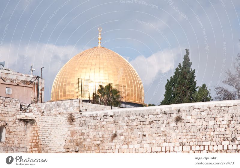 Dicht an dicht Israel Jerusalem Felsendom Klagemauer Judentum Islam Politik & Staat Ferien & Urlaub & Reisen Religion & Glaube Tourismus