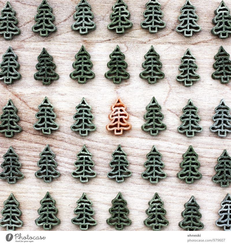 Ausreißer Ernährung Nudeln Essen Weihnachten & Advent Weihnachtsbaum grün orange Wald Tanne Farbfoto mehrfarbig Innenaufnahme Muster Strukturen & Formen