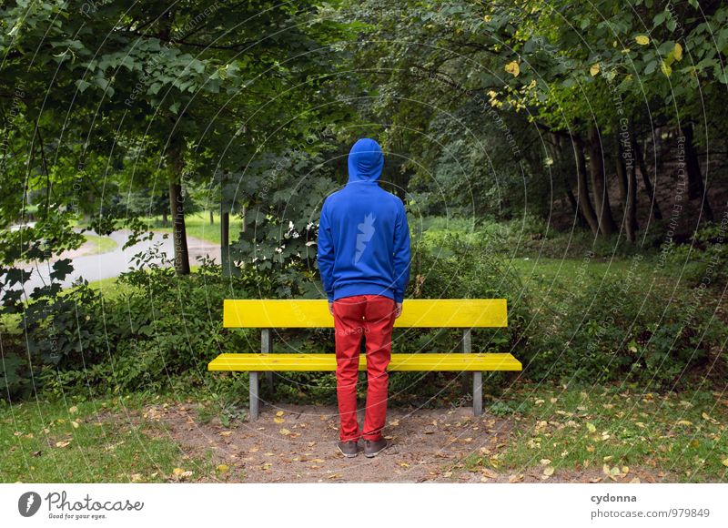 [2800] in RGB Lifestyle Stil Design harmonisch Erholung Mensch Junger Mann Jugendliche Leben 18-30 Jahre Erwachsene Umwelt Natur Park ästhetisch Farbe Freude