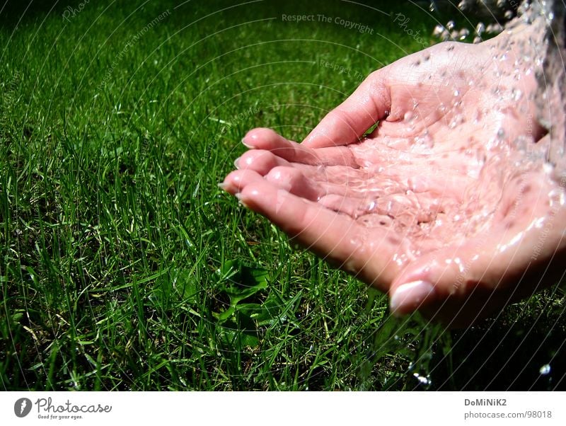 Kleine Erfrischung! Gras Wassertropfen schön Hand Fingernagel Halm Wiese Wasserschwall Sonne Kannen Gießkanne grün Natur Garten Park Reflexion & Spiegelung