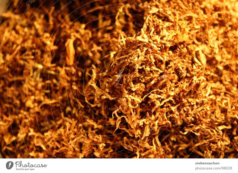 i hate smoking braun Tabak Zigarette Hintergrundbild gefährlich gold Rauchen texture Strukturen & Formen Suche