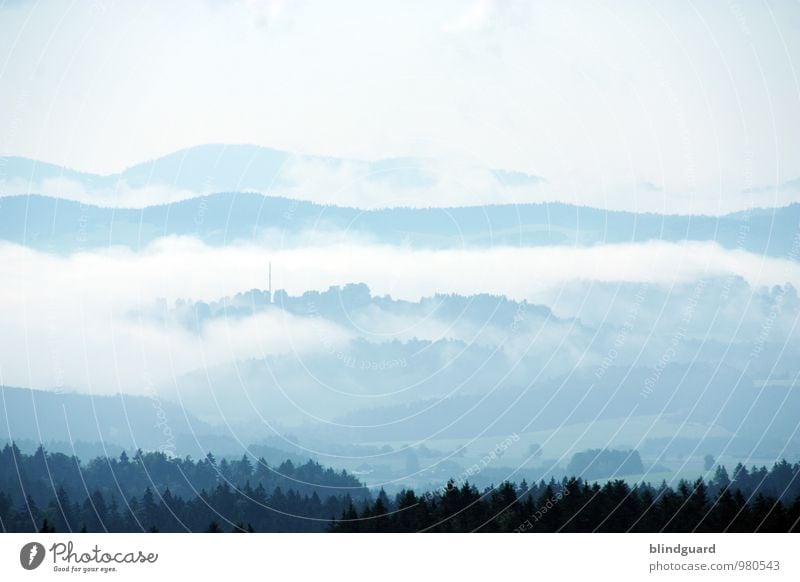 Before The Dawn Umwelt Natur Landschaft Pflanze Luft Himmel Wolken Horizont Sommer Klima Wetter schlechtes Wetter Nebel Wald Hügel Berge u. Gebirge kalt blau