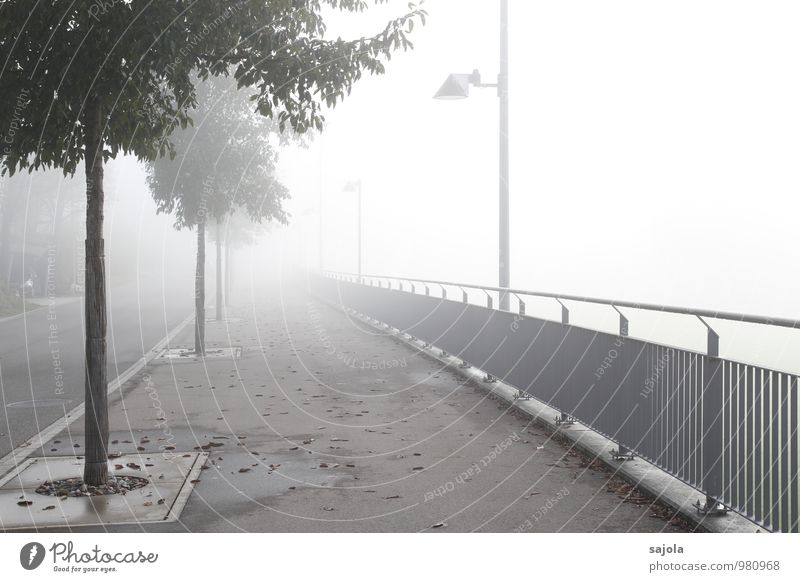 weg ins licht - bzw. nebelwand Umwelt Herbst schlechtes Wetter Nebel Baum Straße Bürgersteig leuchten Geländer Straßenbeleuchtung lichtvoll Lichtpunkt
